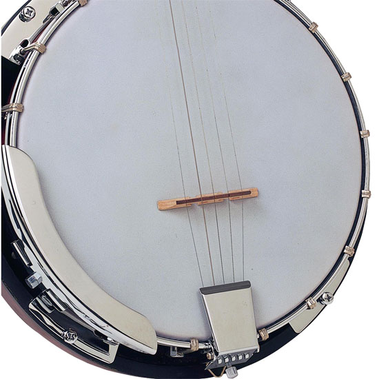 NEW PylePro   PBJ60   5 String Banjo With Chrome Plated Hardware 